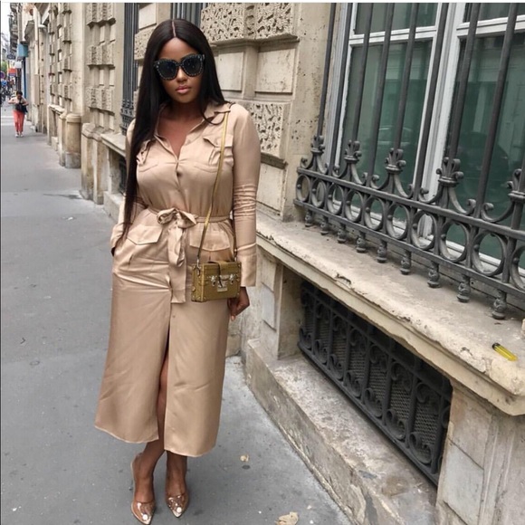 BLOGGERS FAVORITE ZARA STUDIO Long Shirt Dress - Picture 8 of 8